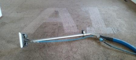 How often should I have my carpets cleaned?