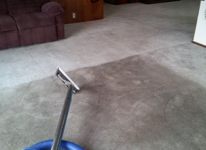 carpets cleaned