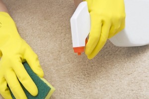 Getting stains out of the carpets