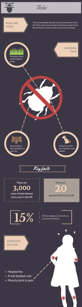Ticks Infographic 