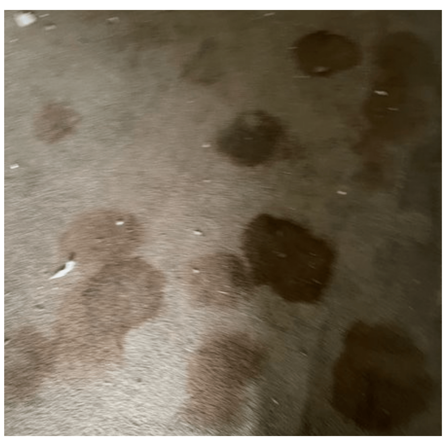 carpet smell caused by moisture spots in carpet