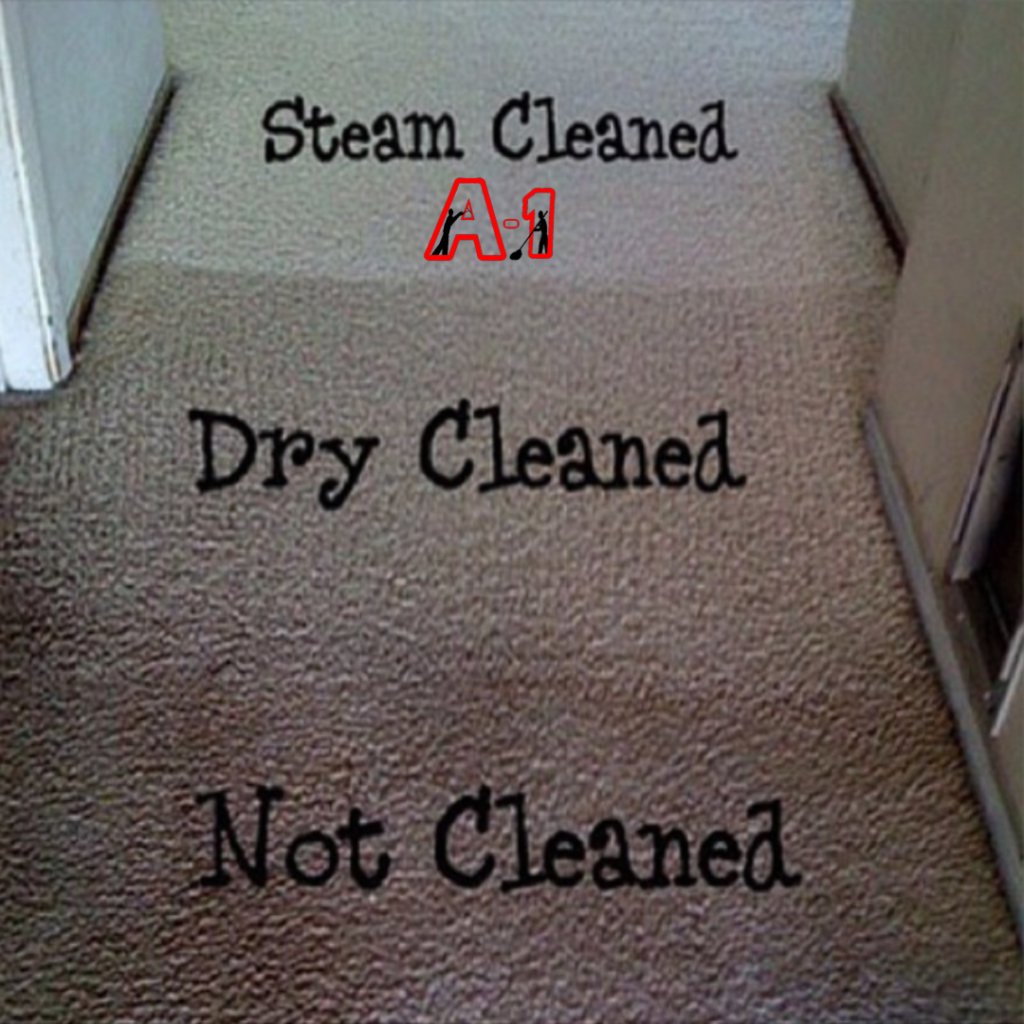 Chemdry carpet cleaning versus Steam Carpet Cleaning A1 Cleaning