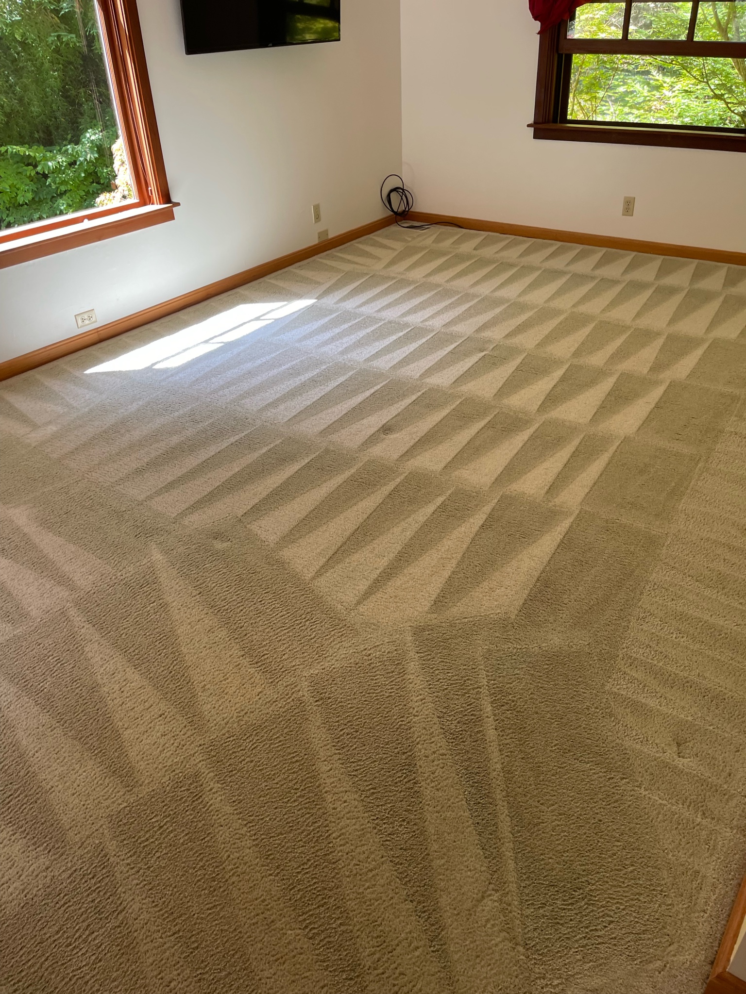 Professional Carpet Cleaning Results | Humboldt County CA - A-1 Cleaning Service, LLC. Professional carpet cleaning results showing uniform cleaning pattern in Humboldt County CA by A‑1 Cleaning Service.