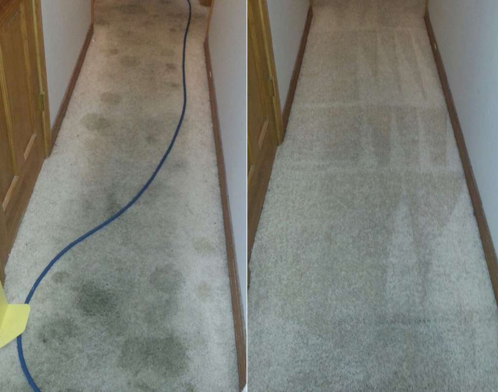 Professional Carpet Cleaning Before and After in Eureka CA - A-1 Cleaning Service, LLC. Before and after professional carpet cleaning in Eureka CA by A‑1 Cleaning Service